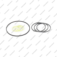 Комплект уплотнительных колец (2006-07г., 7шт.)*