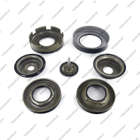 Комплект поршней (тип 2, Ford, 7шт., обрезиненные, с поршнем сервопривода)