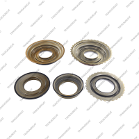 Комплект поршней (5шт., обрезиненные)*