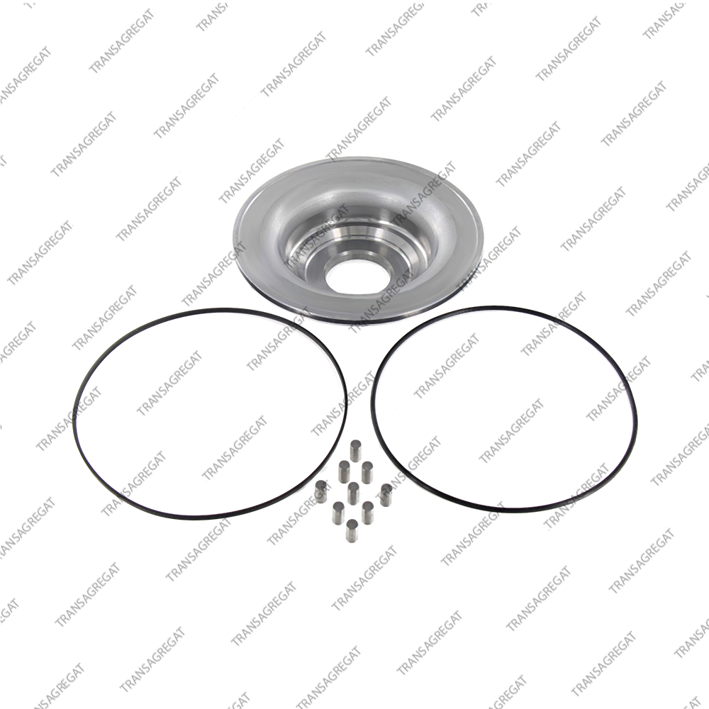 Поршень ведущего шкива (металлический, c уплотнительными кольцами и роликами)*