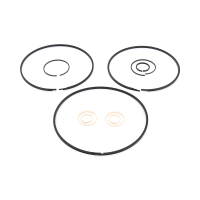 Комплект уплотнительных колец (10шт.)