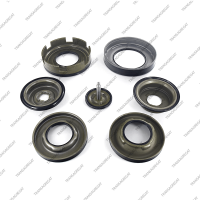 Комплект поршней (тип 2, Ford, 7шт., обрезиненные, с поршнем сервопривода)*