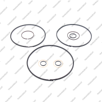 Комплект уплотнительных колец (10шт.)