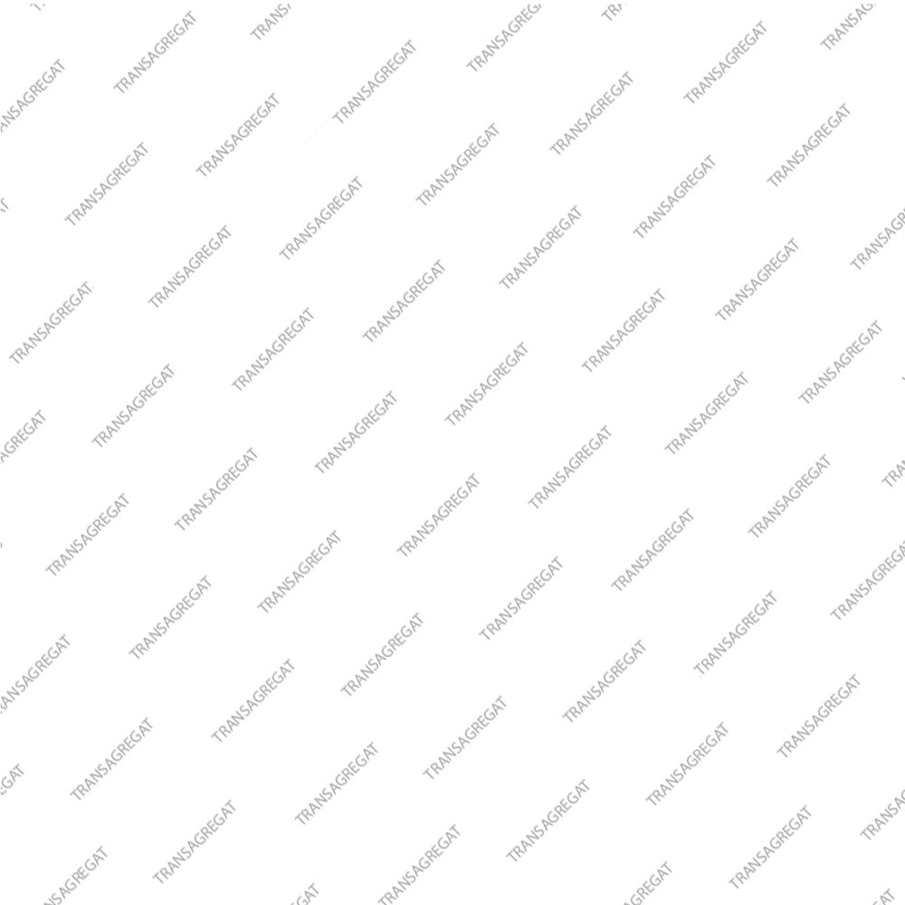 Комплект сателлитов дифференциала (тип 2, FWD)