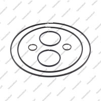 Комплект уплотнительных колец (6шт.)