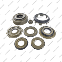 Комплект поршней (8шт., обрезиненные, с поршнем сервопривода)*